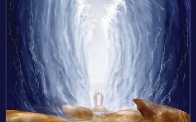 Crossing Over